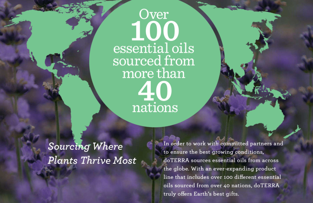 Screen Shot 2018-02-27 at 9.21.58 PM